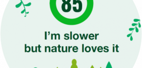 Sardão lança campanha informativa “I’m slower, but nature loves it”